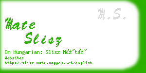 mate slisz business card